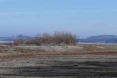 P1040832