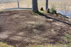 IMG-20250430-WA0004