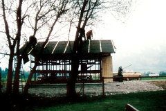 Bild00019