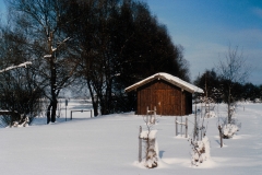 Bild00036