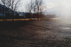 Bild00038