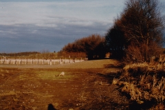 Bild00039